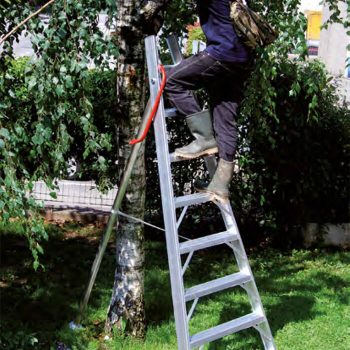 Escalera para árboles frutales en aluminio